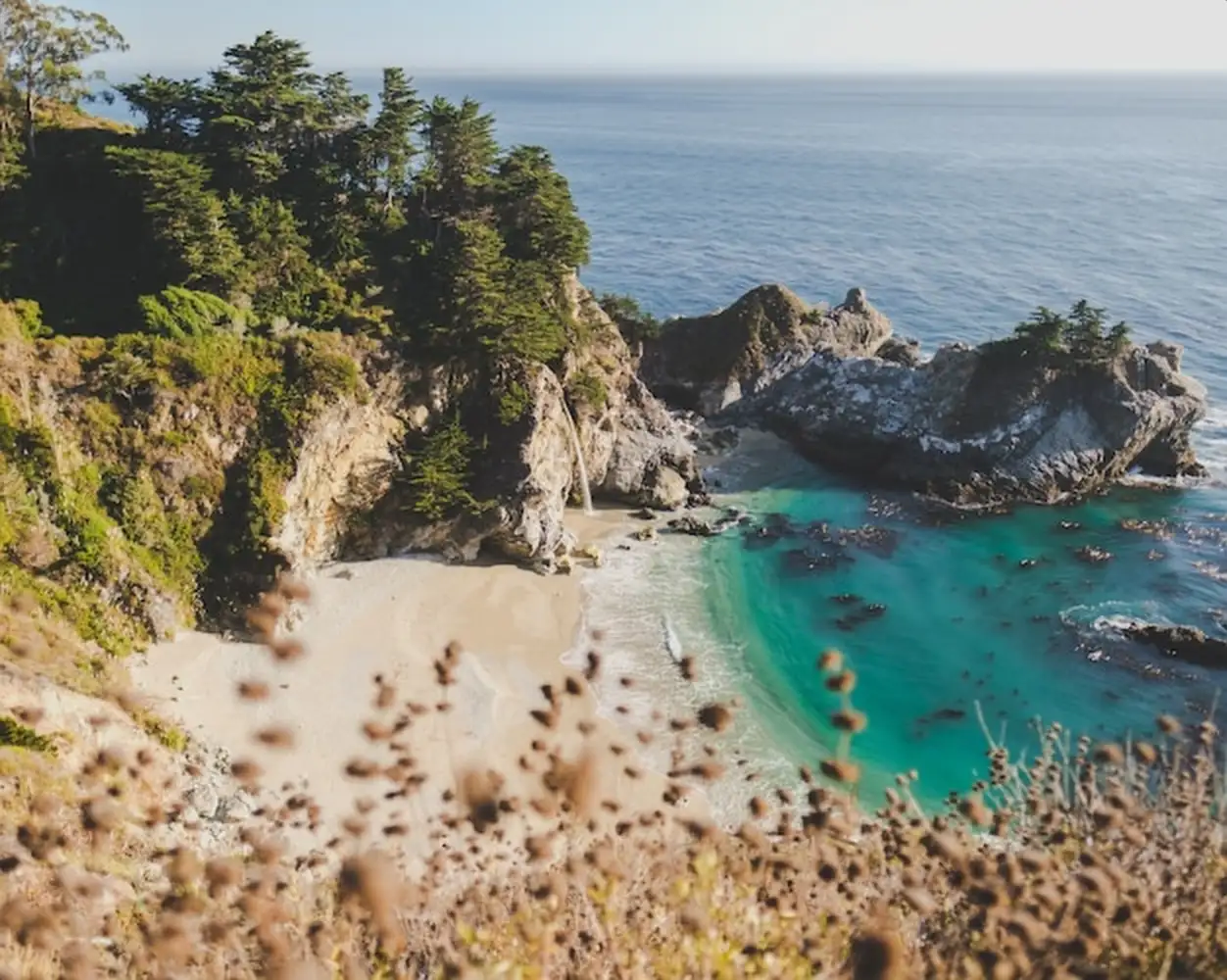 Julia Pfeiffer Burns at daytime