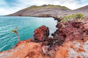 îles Canaries volcans plages turquoise