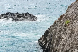 baie de somme phoques falaises