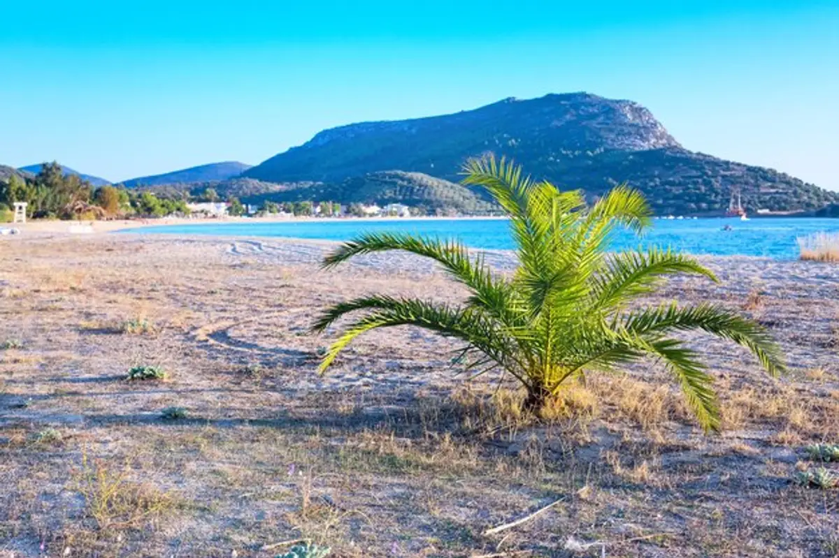plage turquoise Antilles françaises palmier volcan