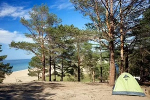 camping landes pins plage océan