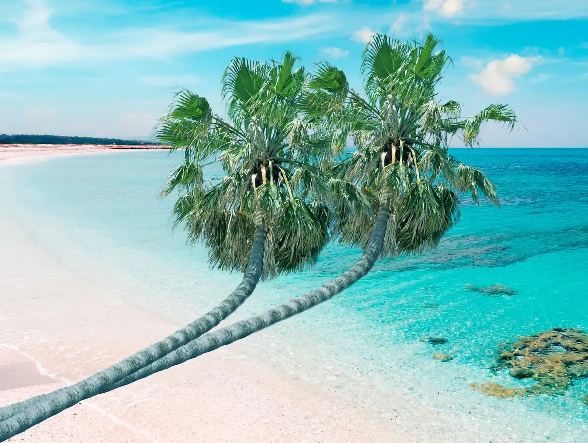 plage maldives lagon turquoise palmiers