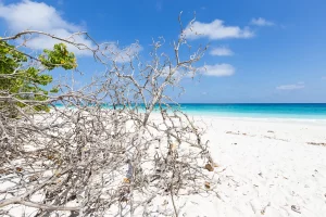 plage maldives lagon turquoise saison sèche