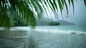 pluie Thaïlande mousson verdure plages