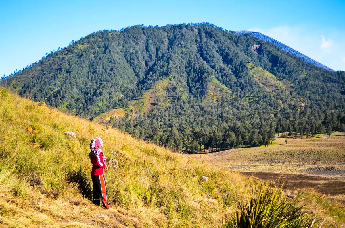 volcans ardèche monts paysage randonnée