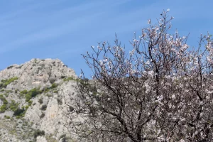 corsica april weather