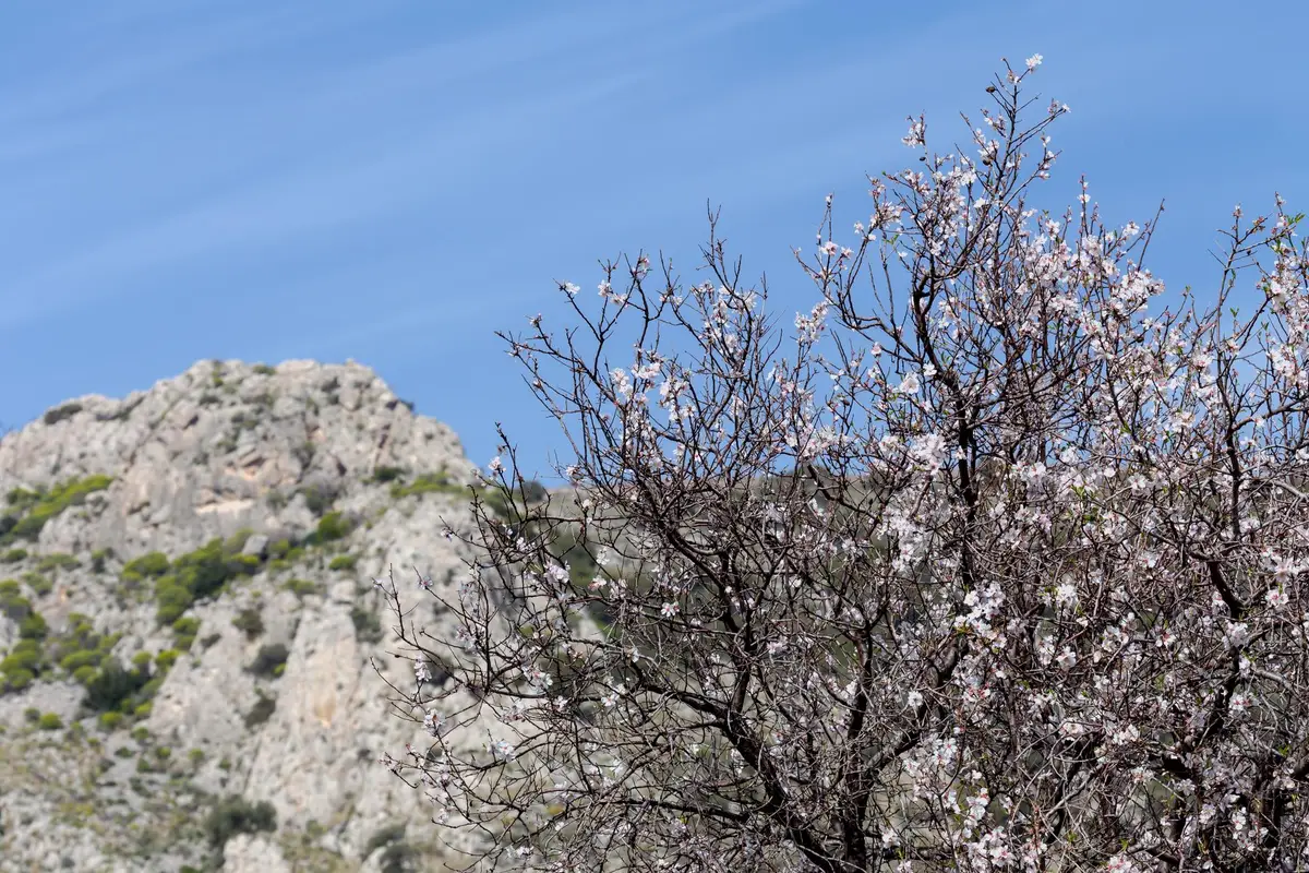 corsica april weather
