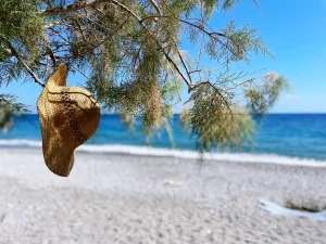 crete plage octobre