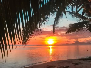 plage République Dominicaine coucher soleil palmiers
