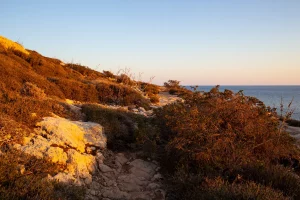 Balearic coast autumn