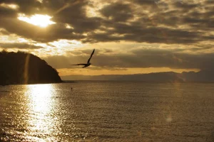 avion coucher soleil mediterranee