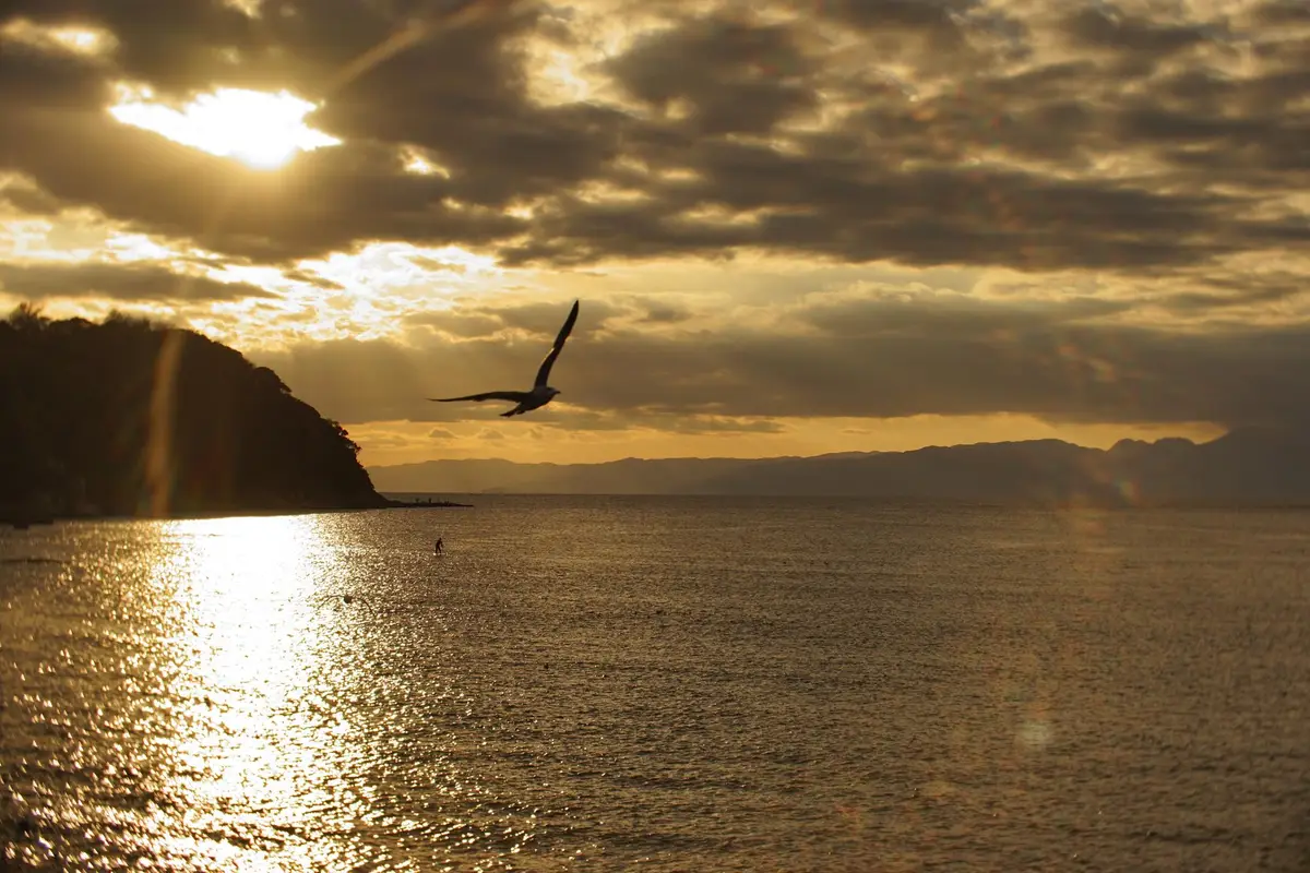 avion coucher soleil mediterranee