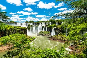 iguazu falls jungle