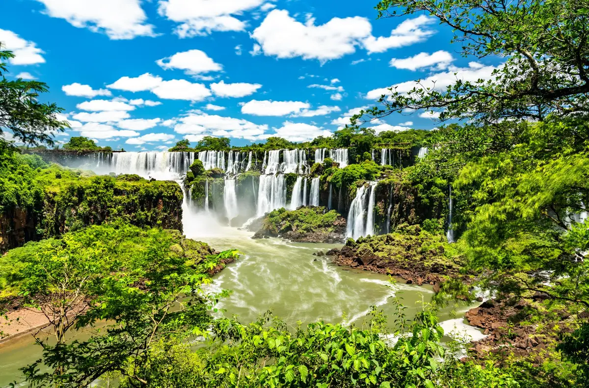 iguazu falls jungle