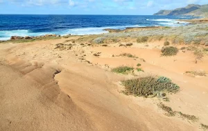 plage Cap Vert