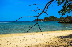 plage Guadeloupe février