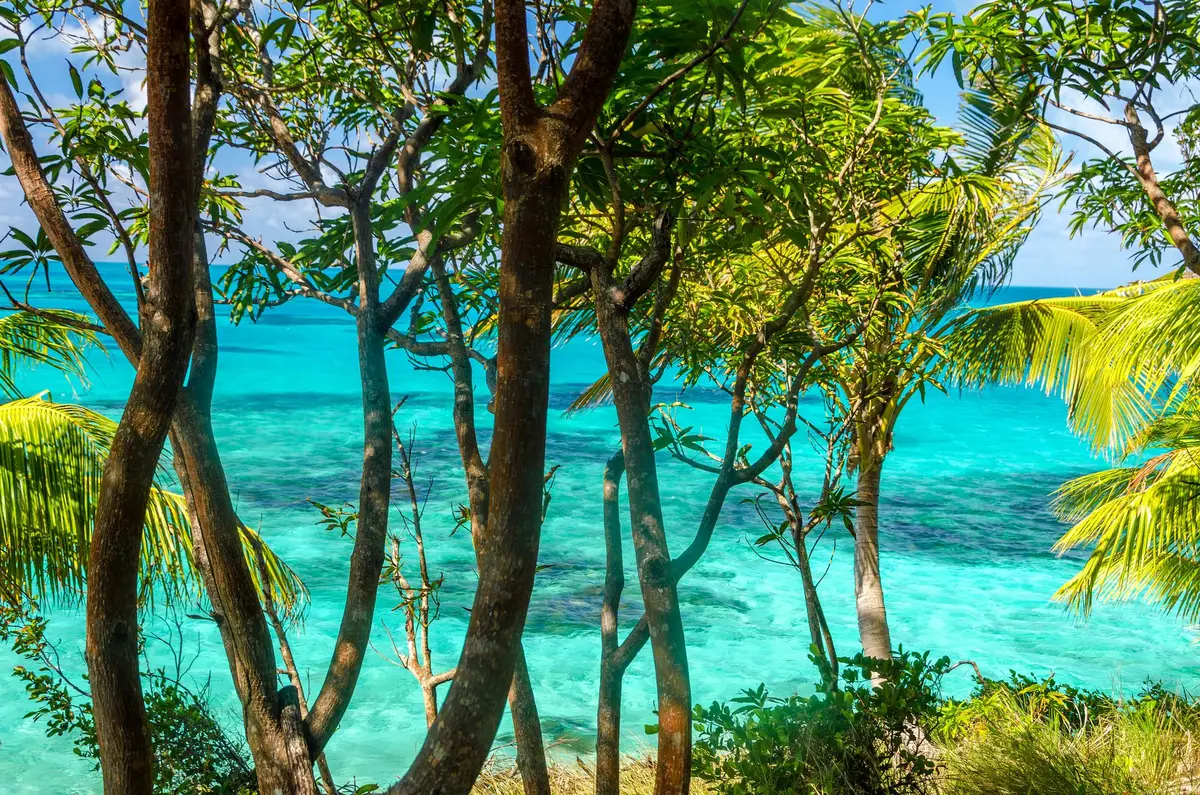 Tahiti lagon saison