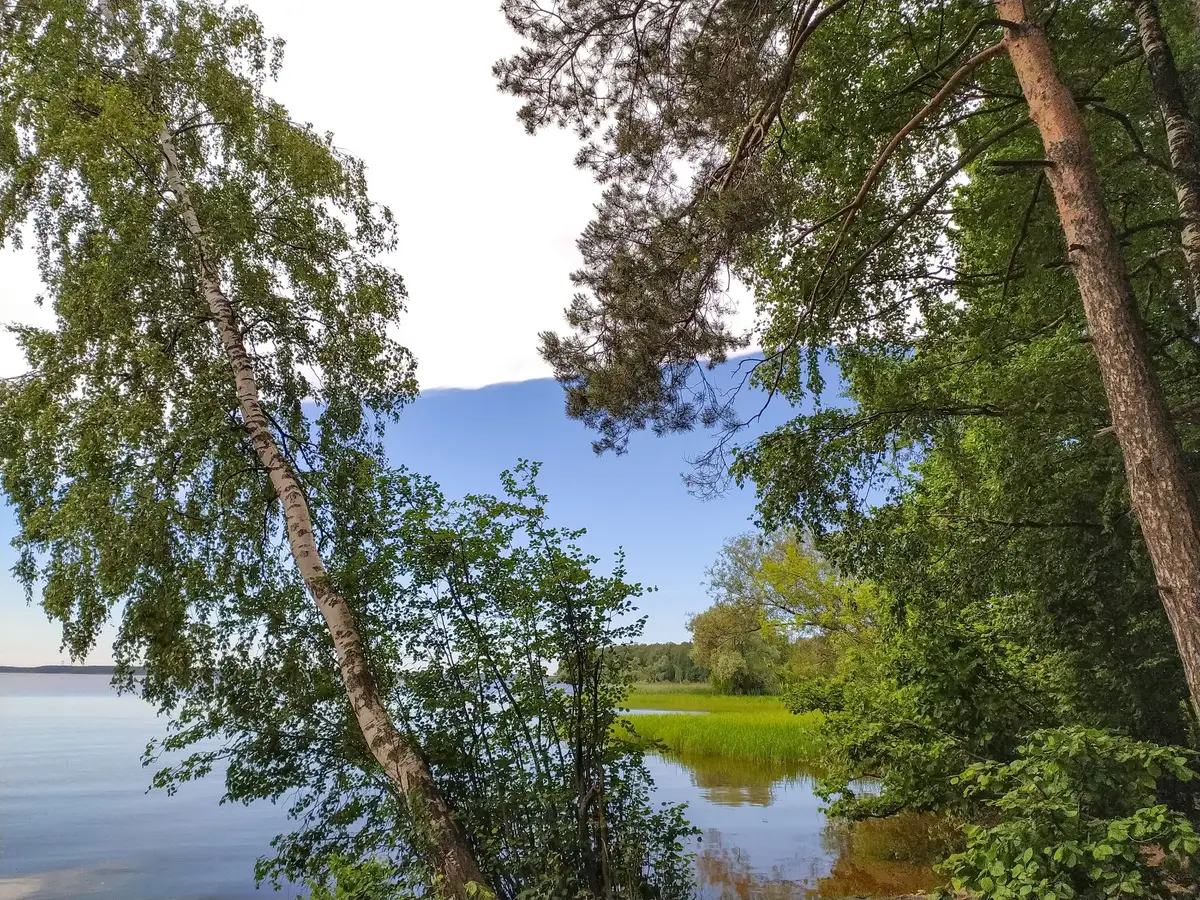 lac des ailettes