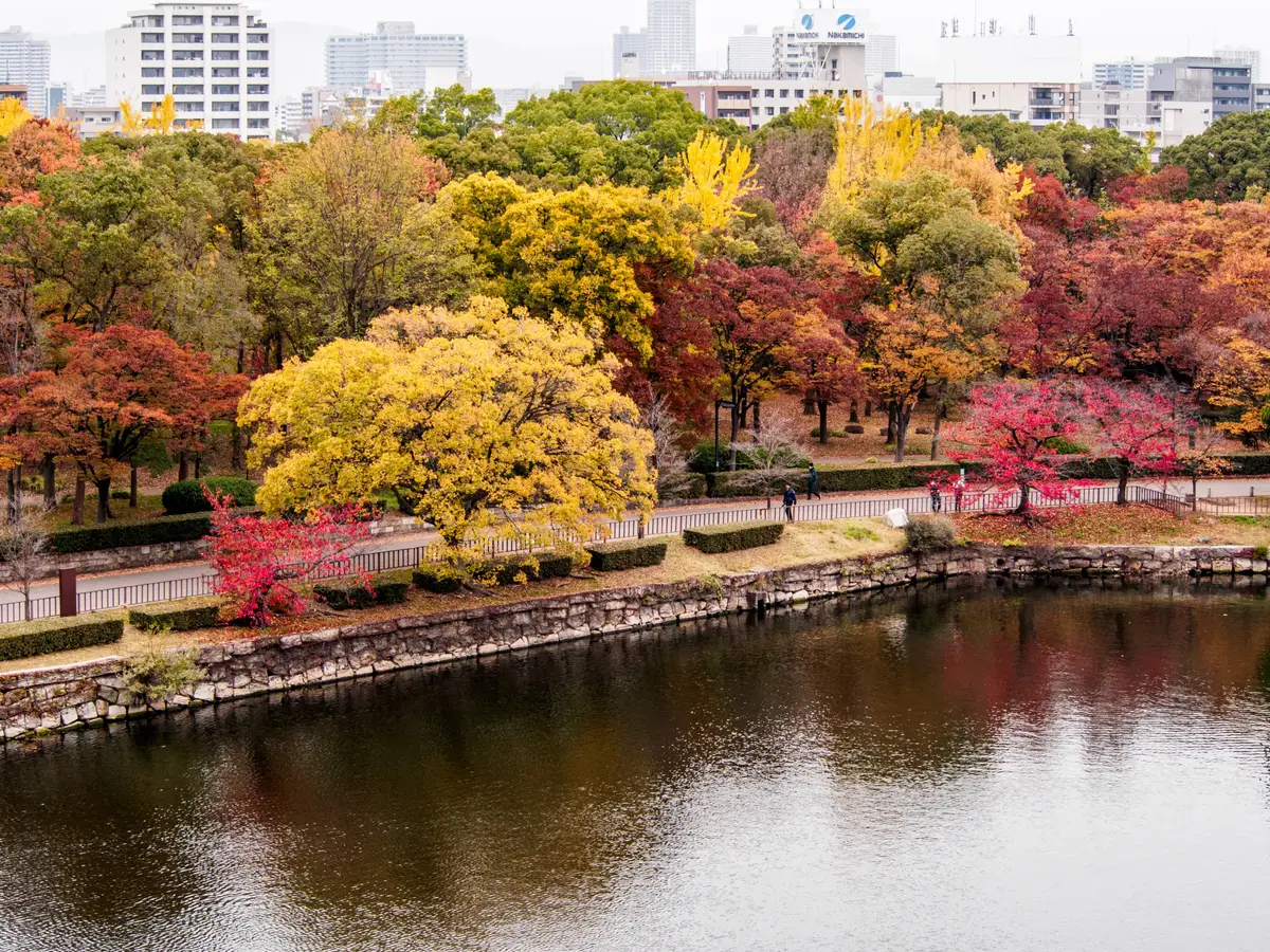 seoul saisons