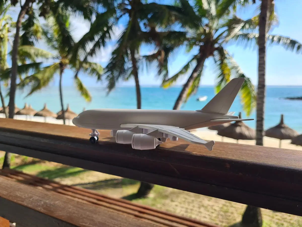 avion martinique plage