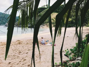 costa rica jungle plage aout