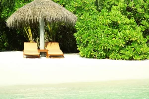 plage jungle resort