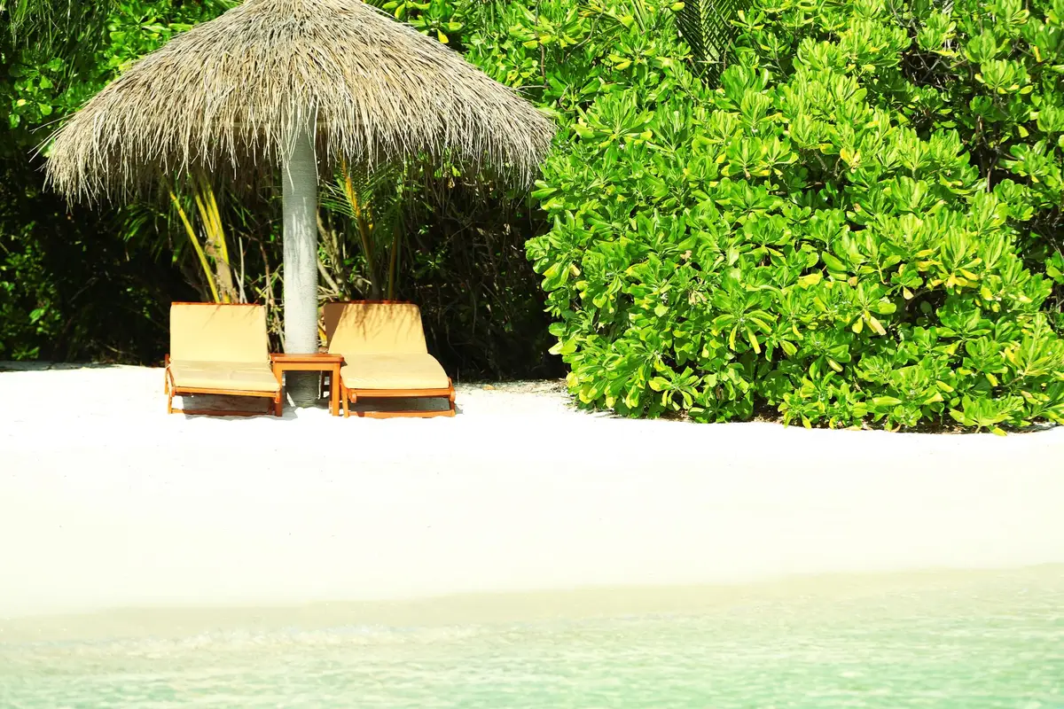plage jungle resort