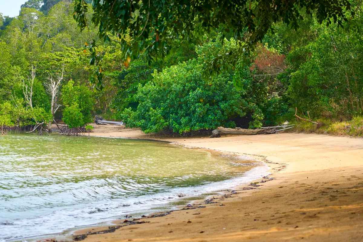 plage rio amazonie