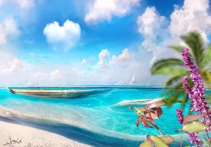 plage tropicale, ciel bleu, bougainvilliers