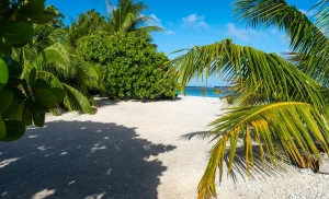 Martinique plage saison