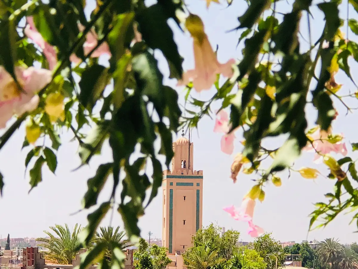 marrakech printemps soleil