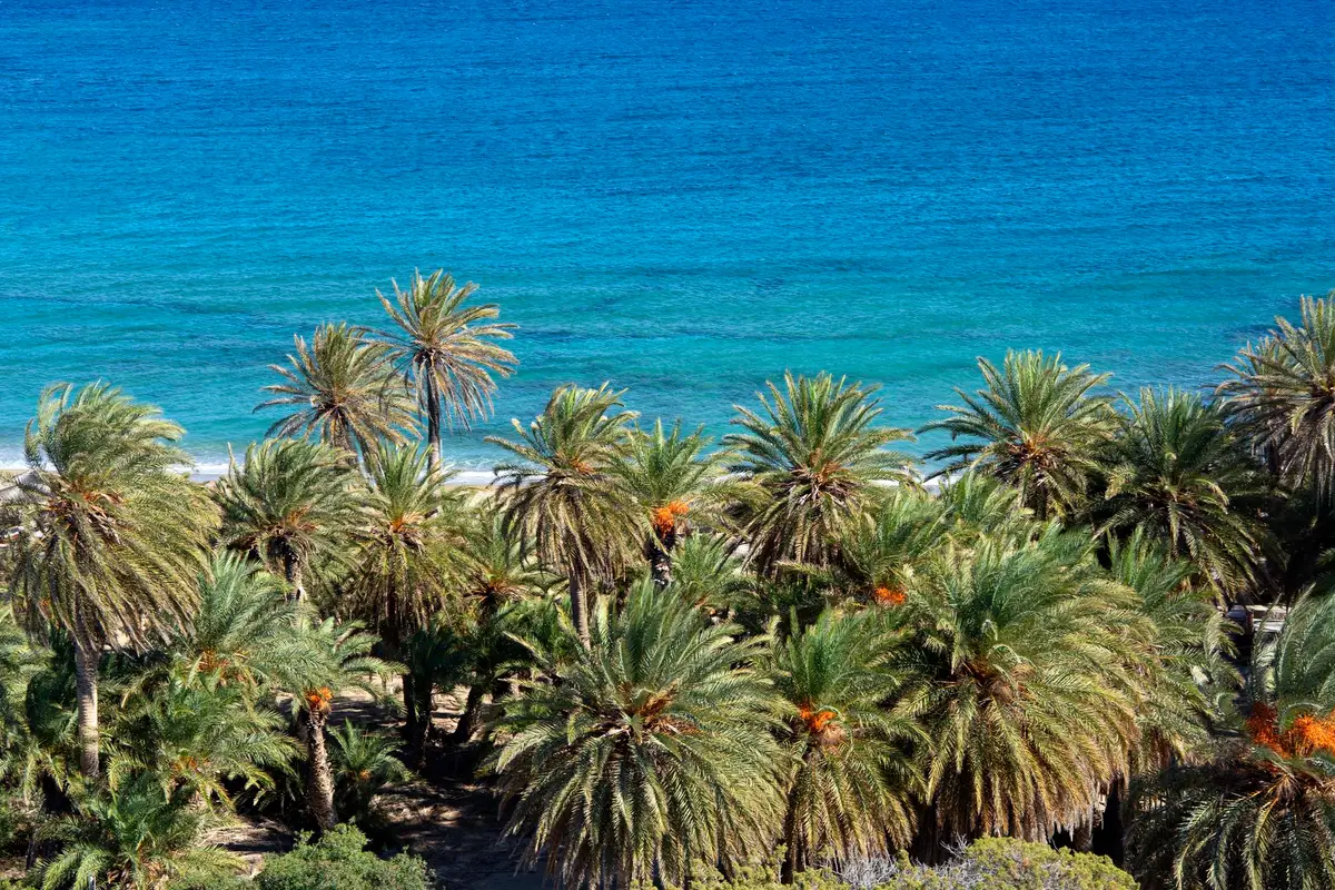 palm beach crete