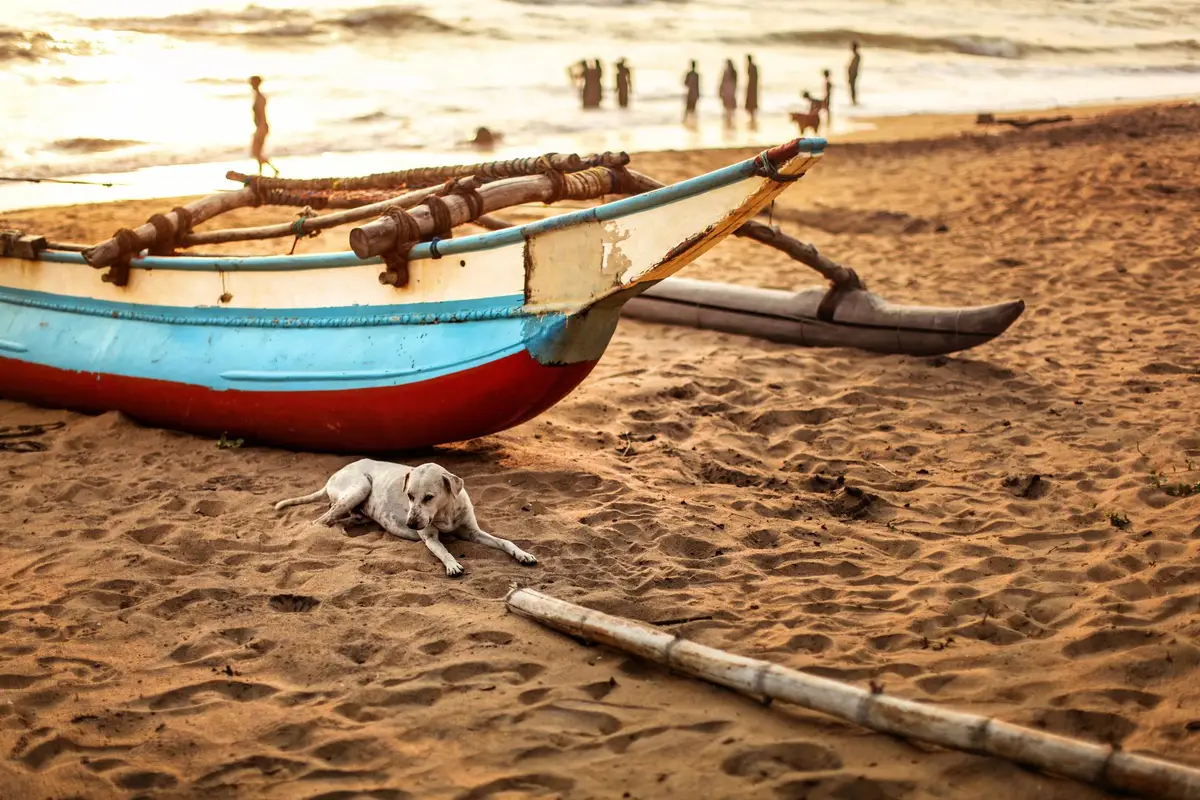 Sénégal plage pirogue